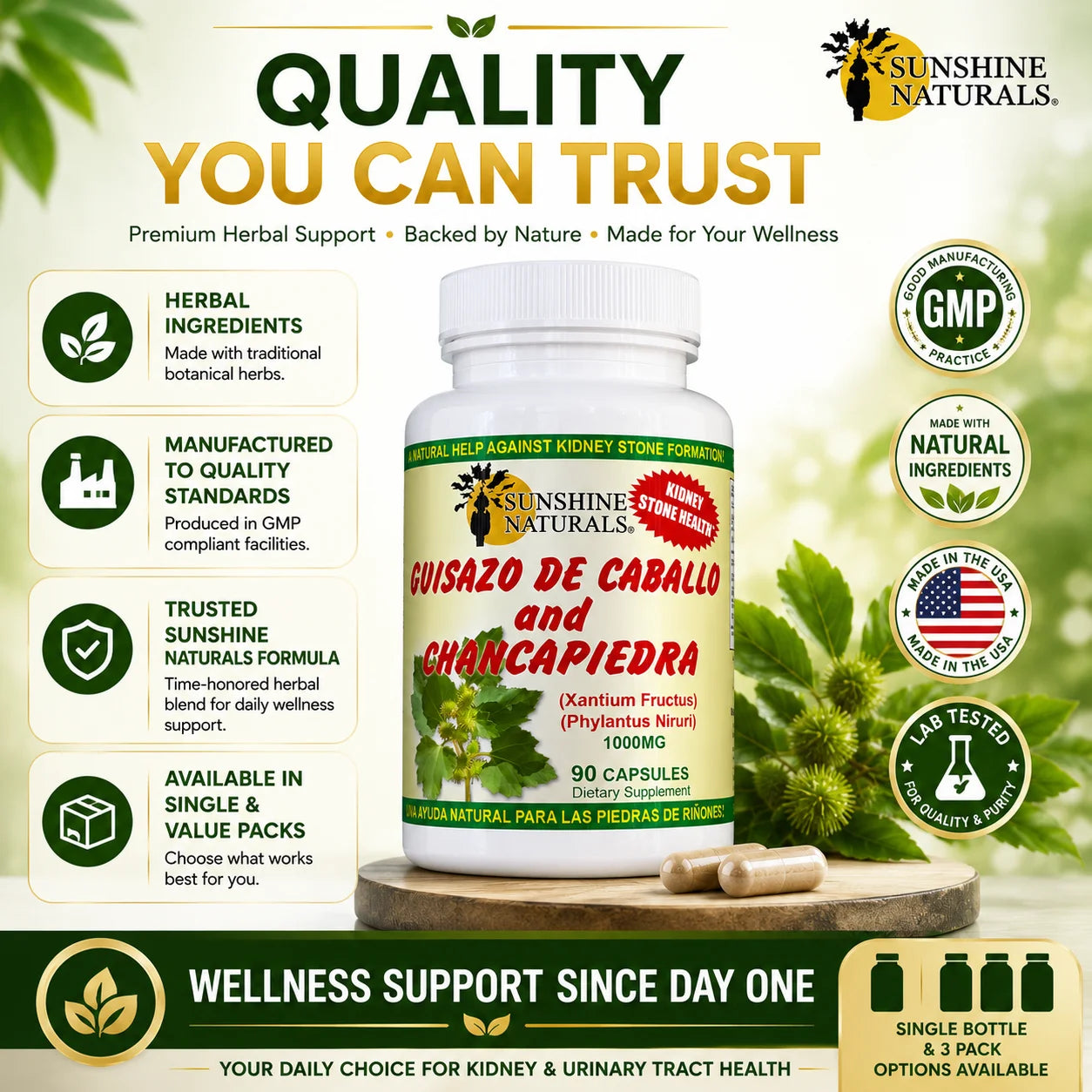 Guisazo De Caballo & Chancapiedra, Kidney Stone Breaker, Dietary Supplement, 3 Pack, 90 Capsules per Bottle