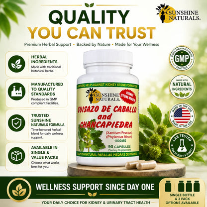 Guisazo De Caballo & Chancapiedra, Kidney Stone Breaker, Dietary Supplement, 3 Pack, 90 Capsules per Bottle