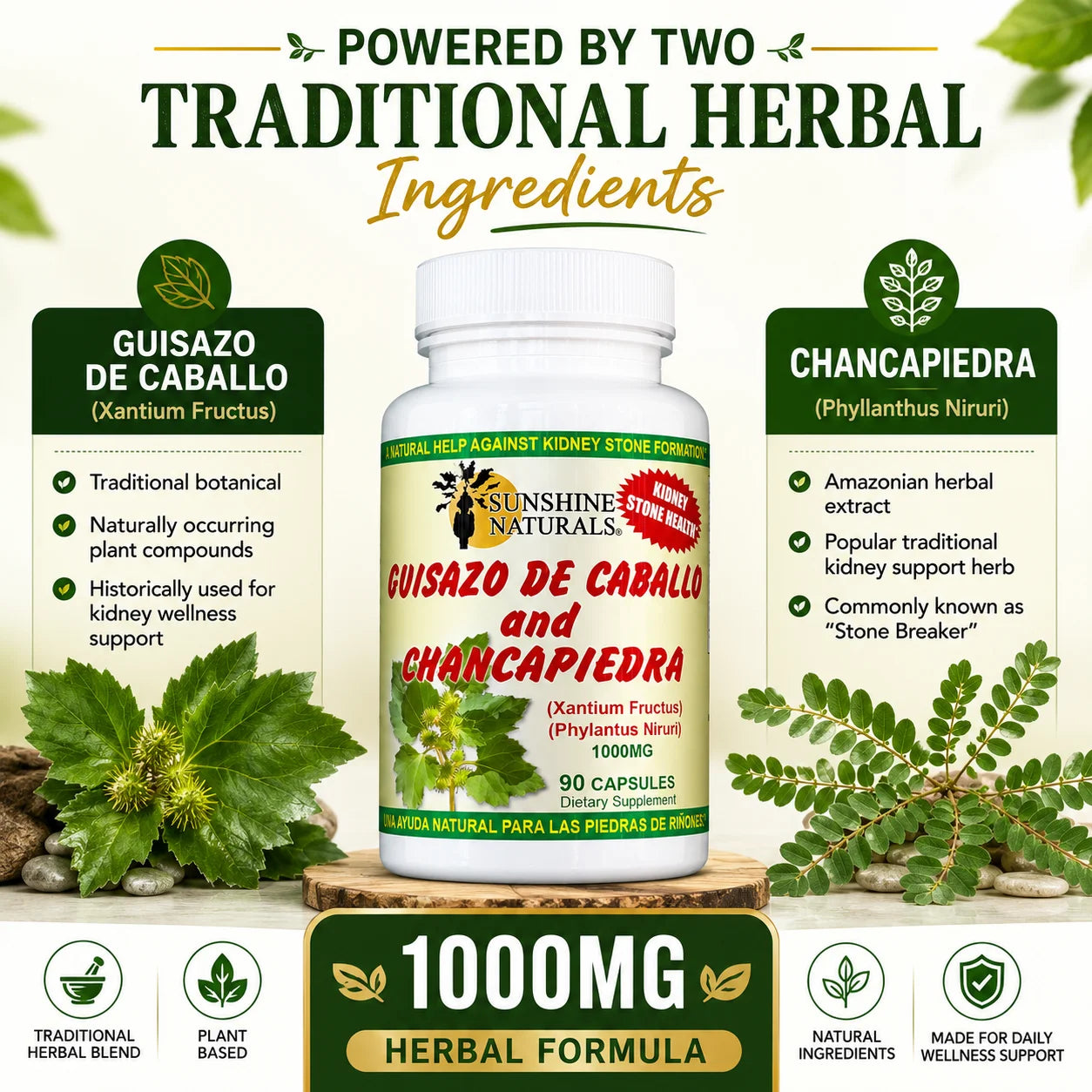 Guisazo De Caballo & Chancapiedra, Kidney Stone Breaker, Dietary Supplement, 3 Pack, 90 Capsules per Bottle