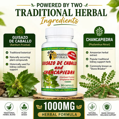 Guisazo De Caballo & Chancapiedra, Kidney Stone Breaker, Dietary Supplement, 3 Pack, 90 Capsules per Bottle