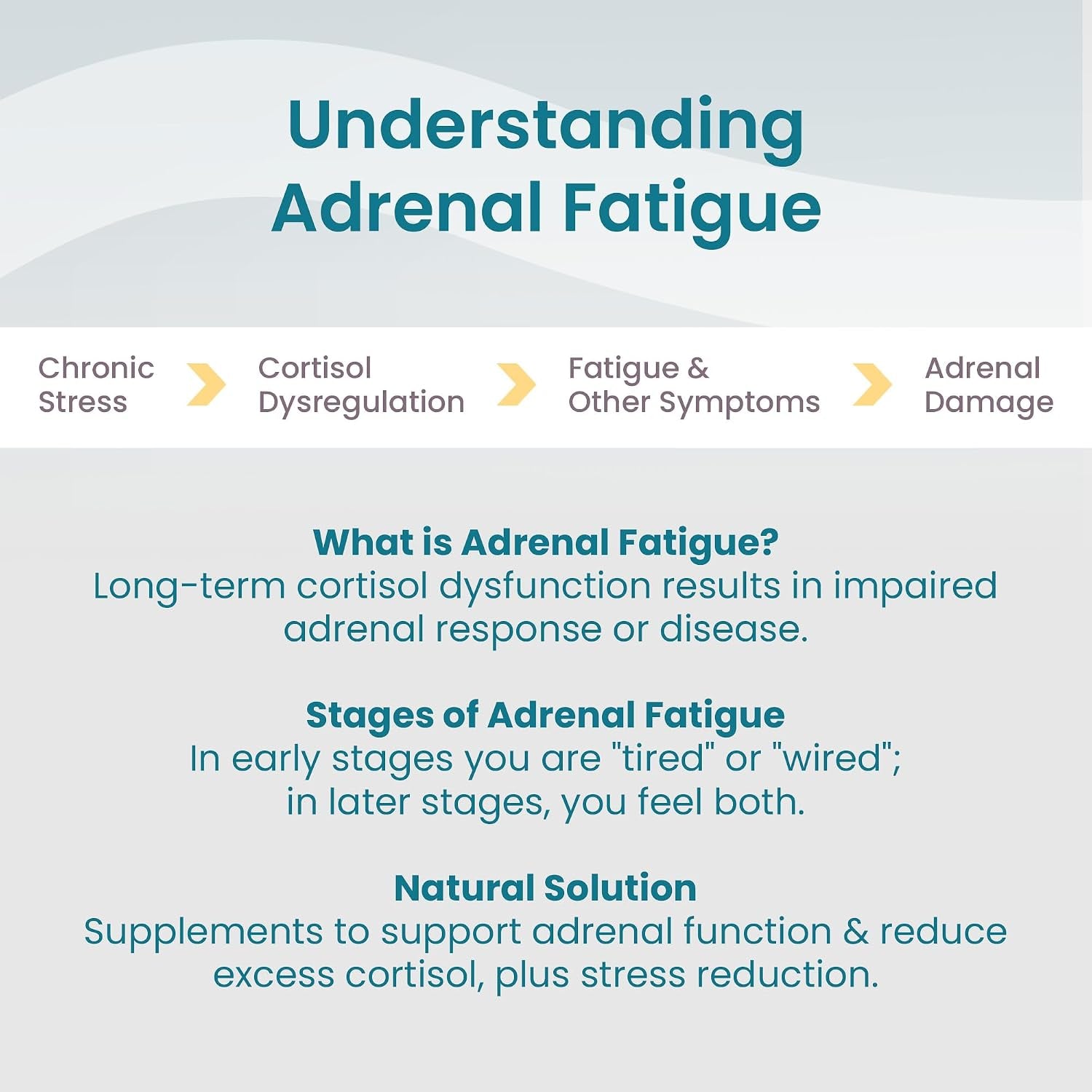 Adaptisol, Adrenal Support Supplements for Women, Cortisol Supplements with Adaptogens, 120 Capsules