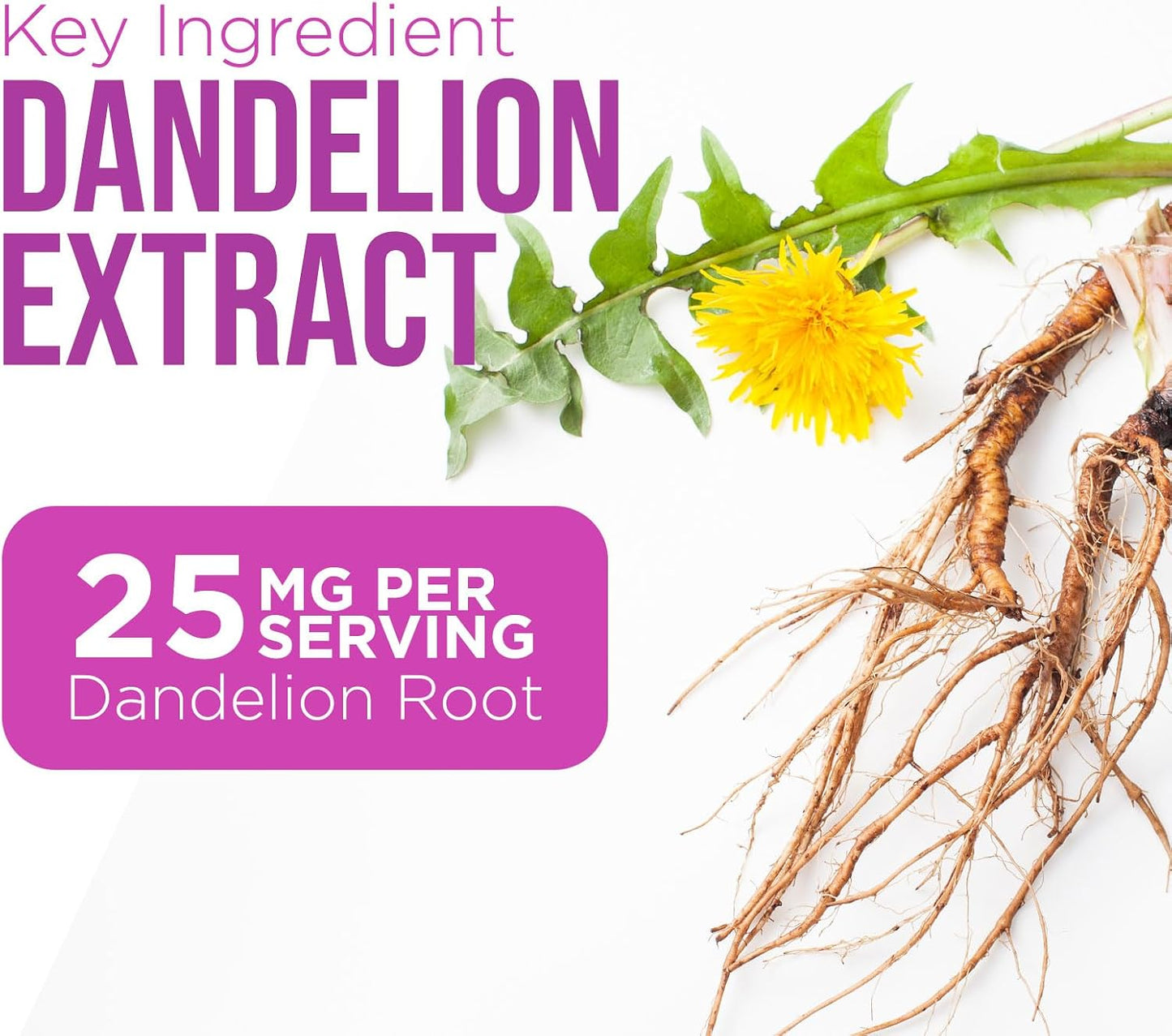 Milk Thistle Supplement - Advanced Liver Cleanse Detox & Repair with Dandelion Root Extract - Natural Milk Thistle Silymarin Marianum Extract Liver Health Support, Non-Gmo, Bottled USA - 120 Capsules