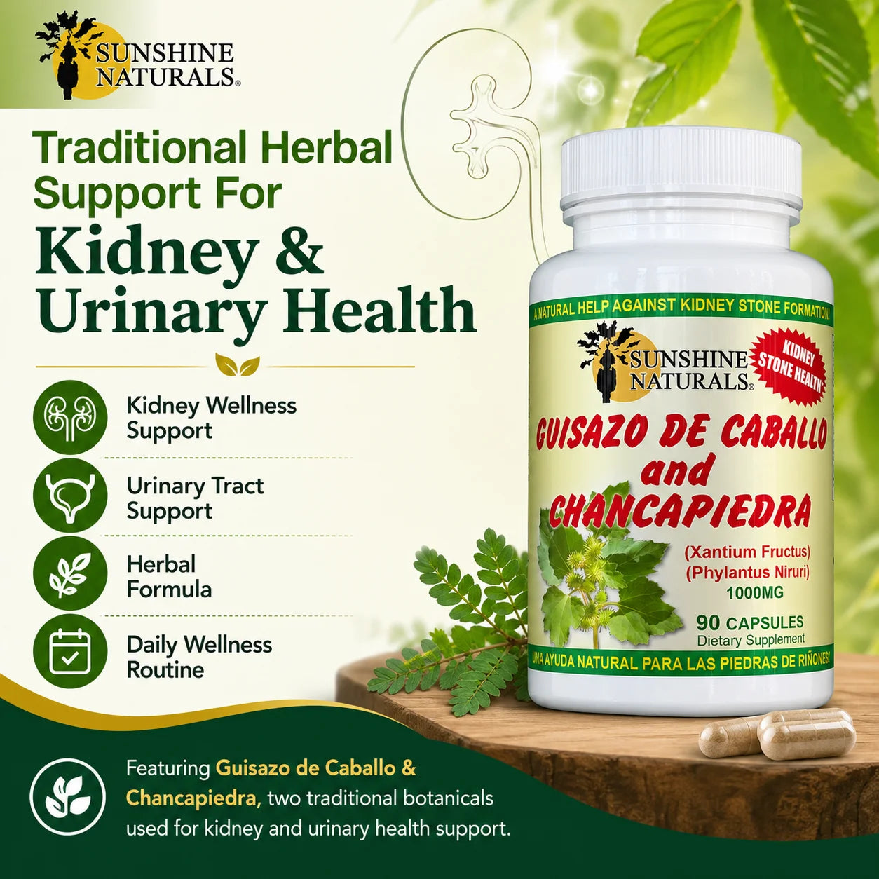 Guisazo De Caballo & Chancapiedra, Kidney Stone Breaker, Dietary Supplement, 3 Pack, 90 Capsules per Bottle