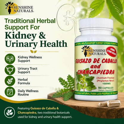 Guisazo De Caballo & Chancapiedra, Kidney Stone Breaker, Dietary Supplement, 3 Pack, 90 Capsules per Bottle