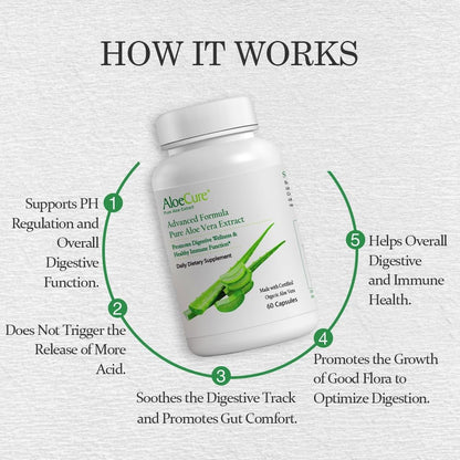 Aloecure Advanced Formula - Twice a Day Aloe Vera Capsule 60 Capsules
