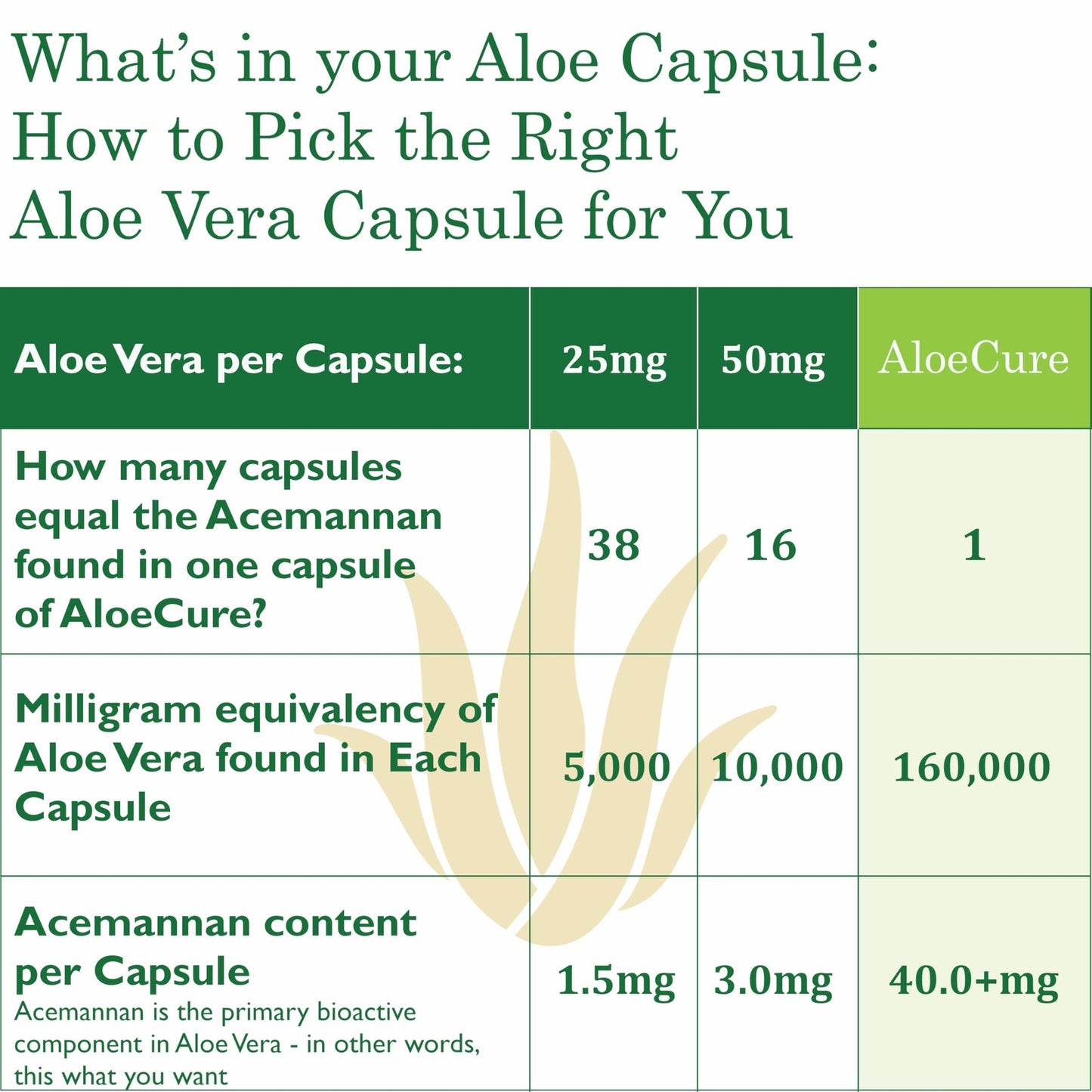 Aloecure Advanced Formula - Twice a Day Aloe Vera Capsule 60 Capsules