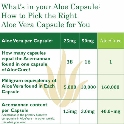 Aloecure Advanced Formula - Twice a Day Aloe Vera Capsule 60 Capsules